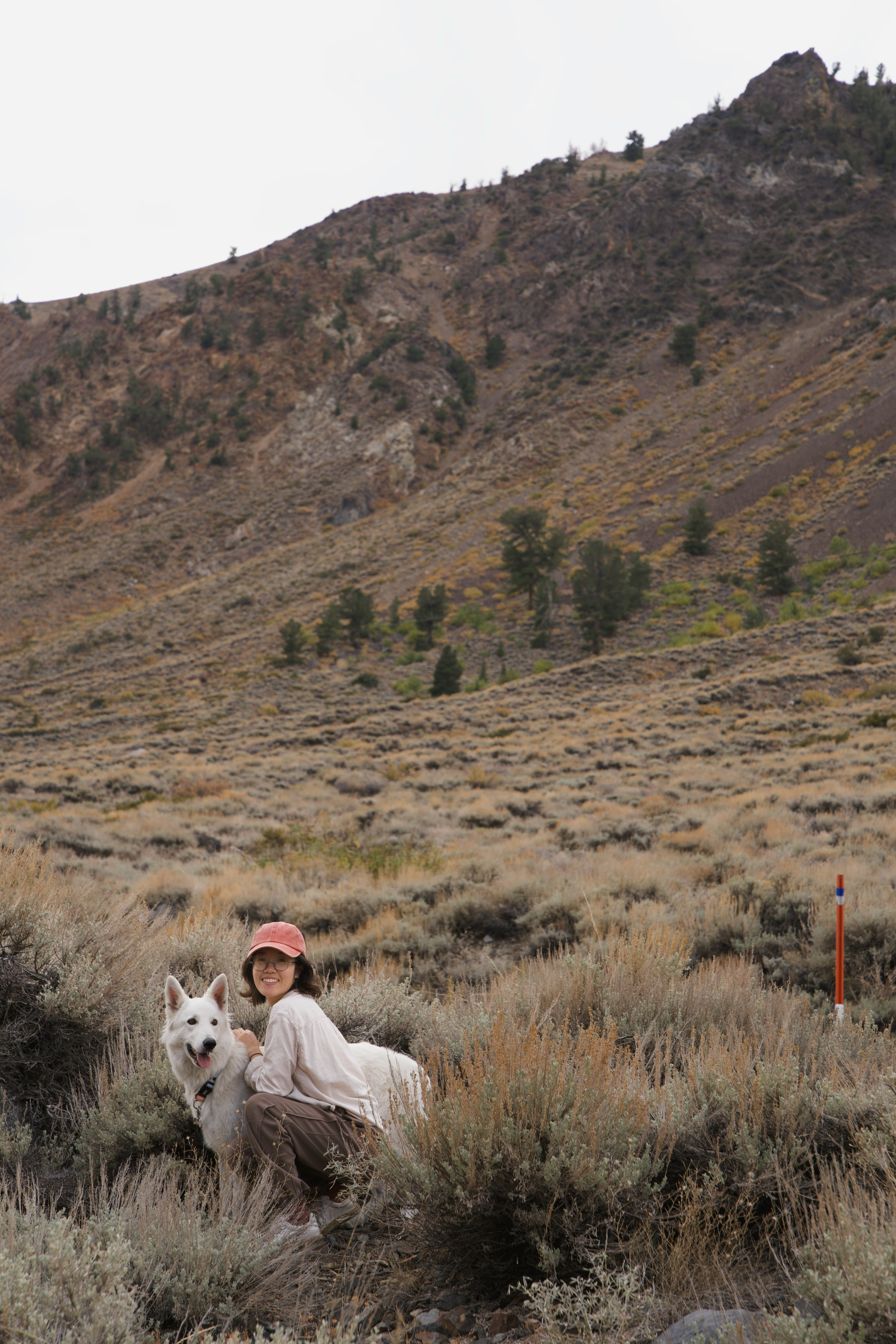 Large letters in brand typography