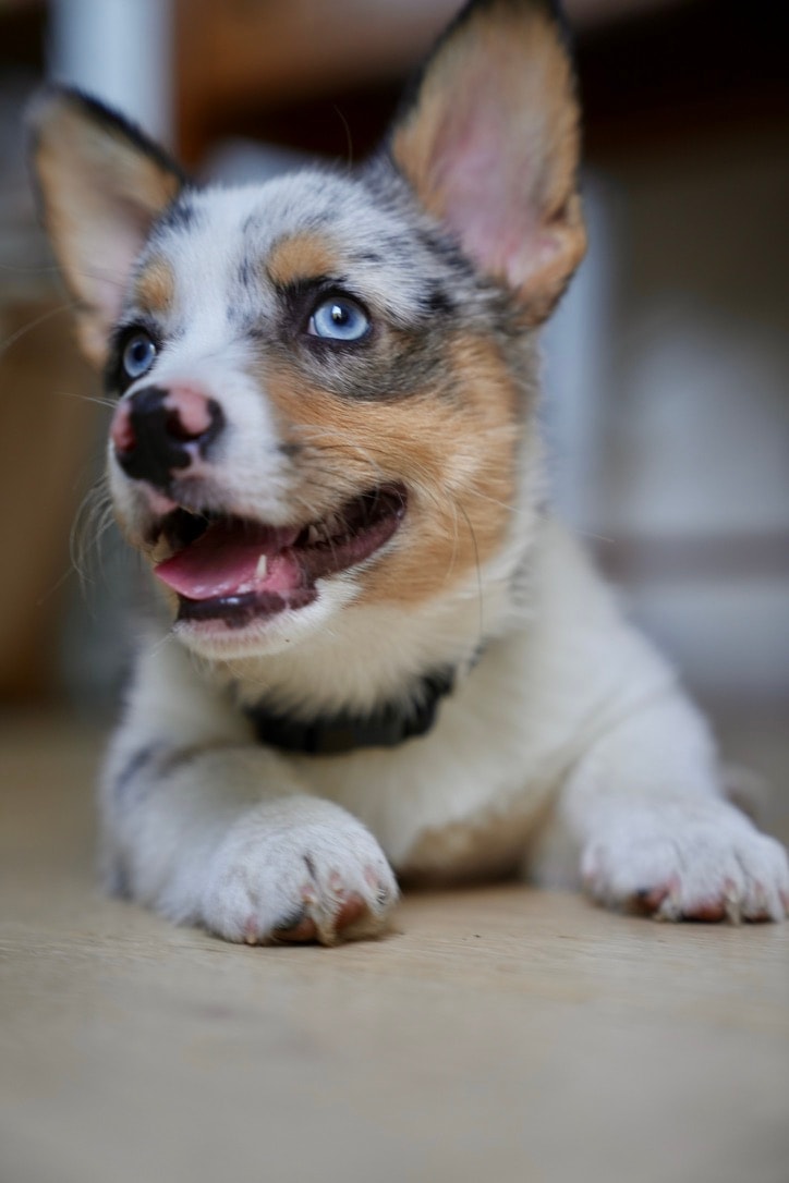 Orange gradient with shades of blue