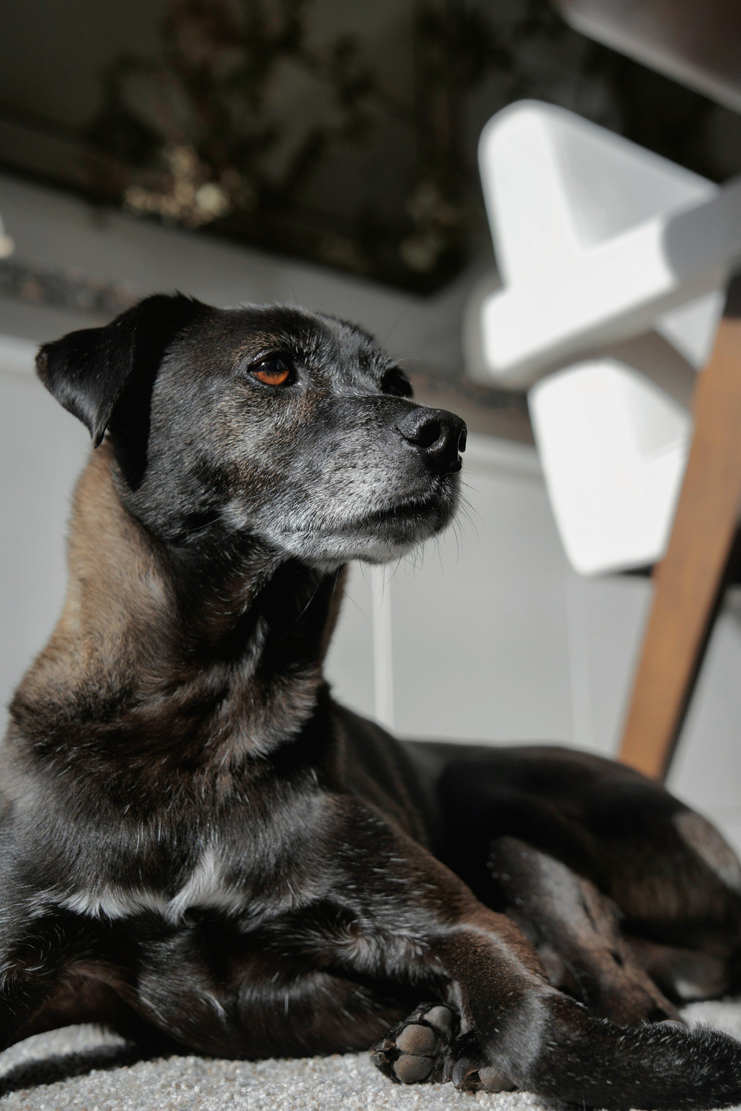 Orange gradient with shades of blue