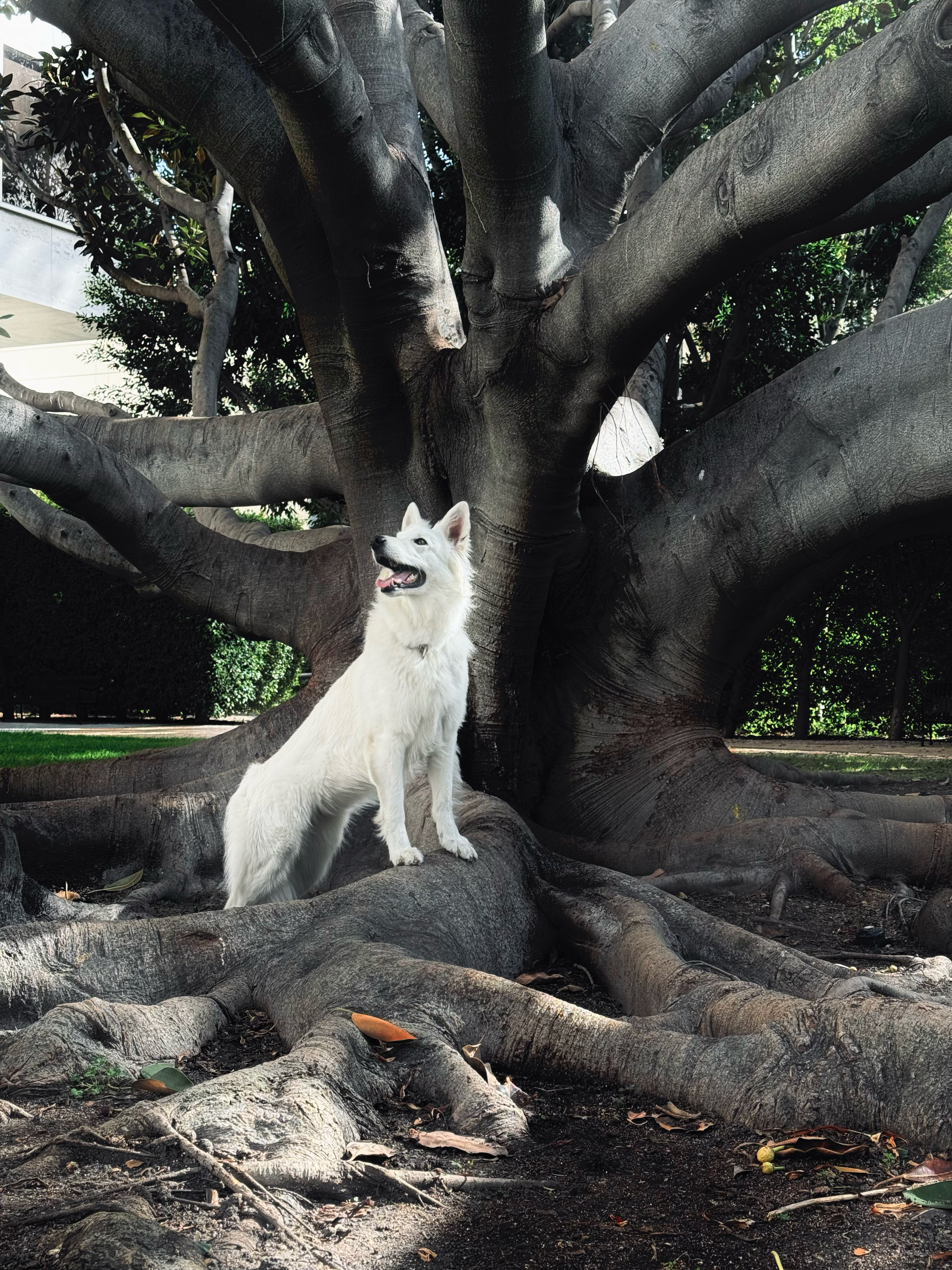 Orange gradient with shades of blue