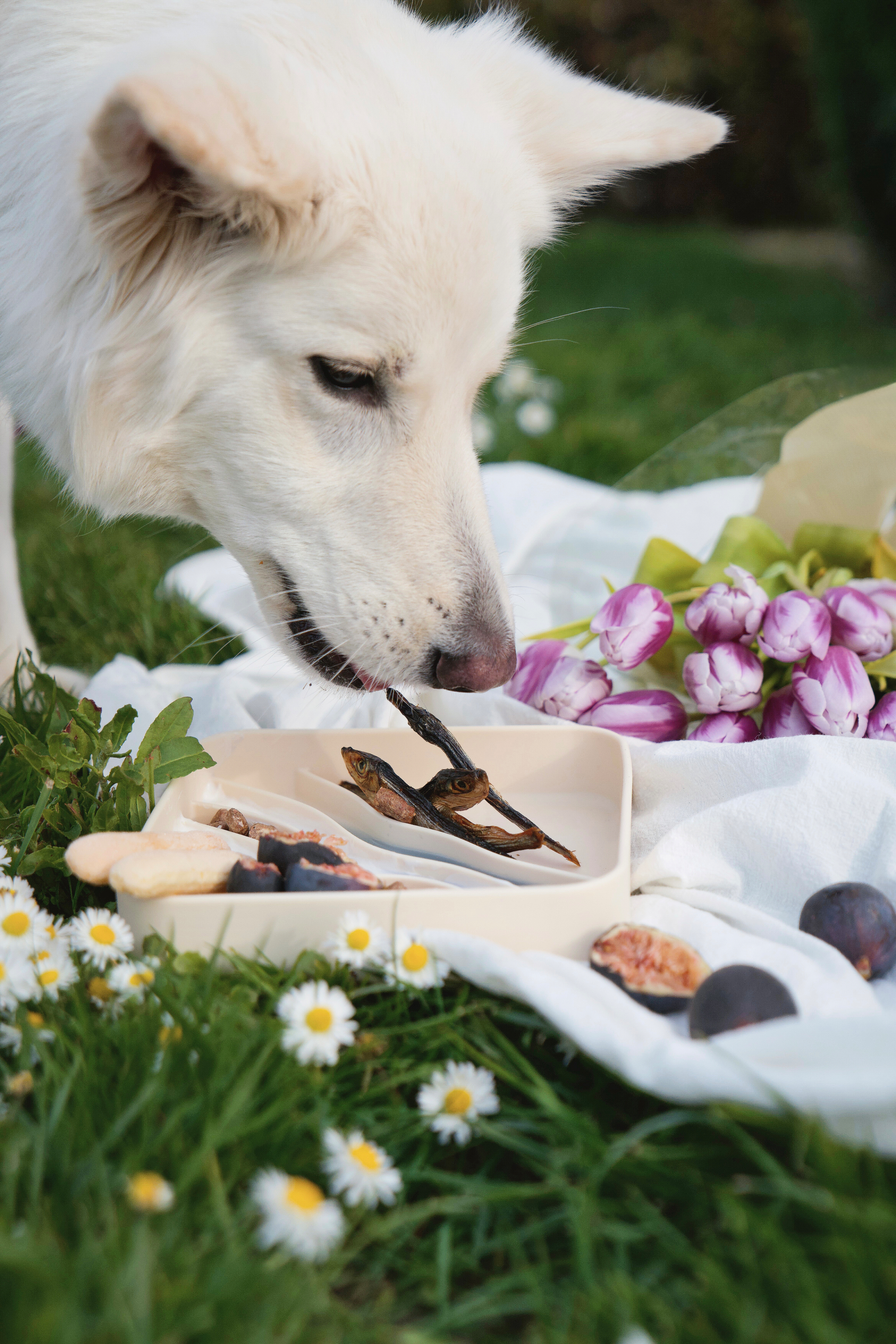 Orange gradient with shades of blue