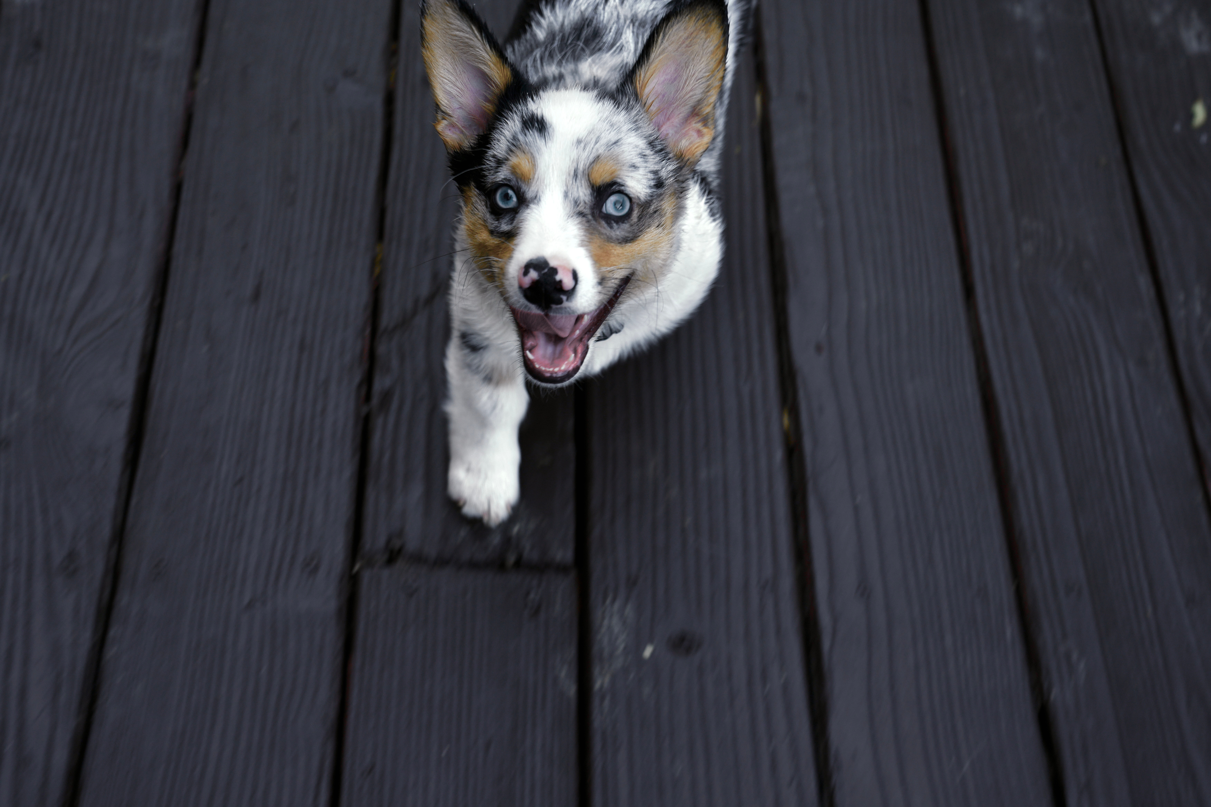 Orange gradient with shades of blue