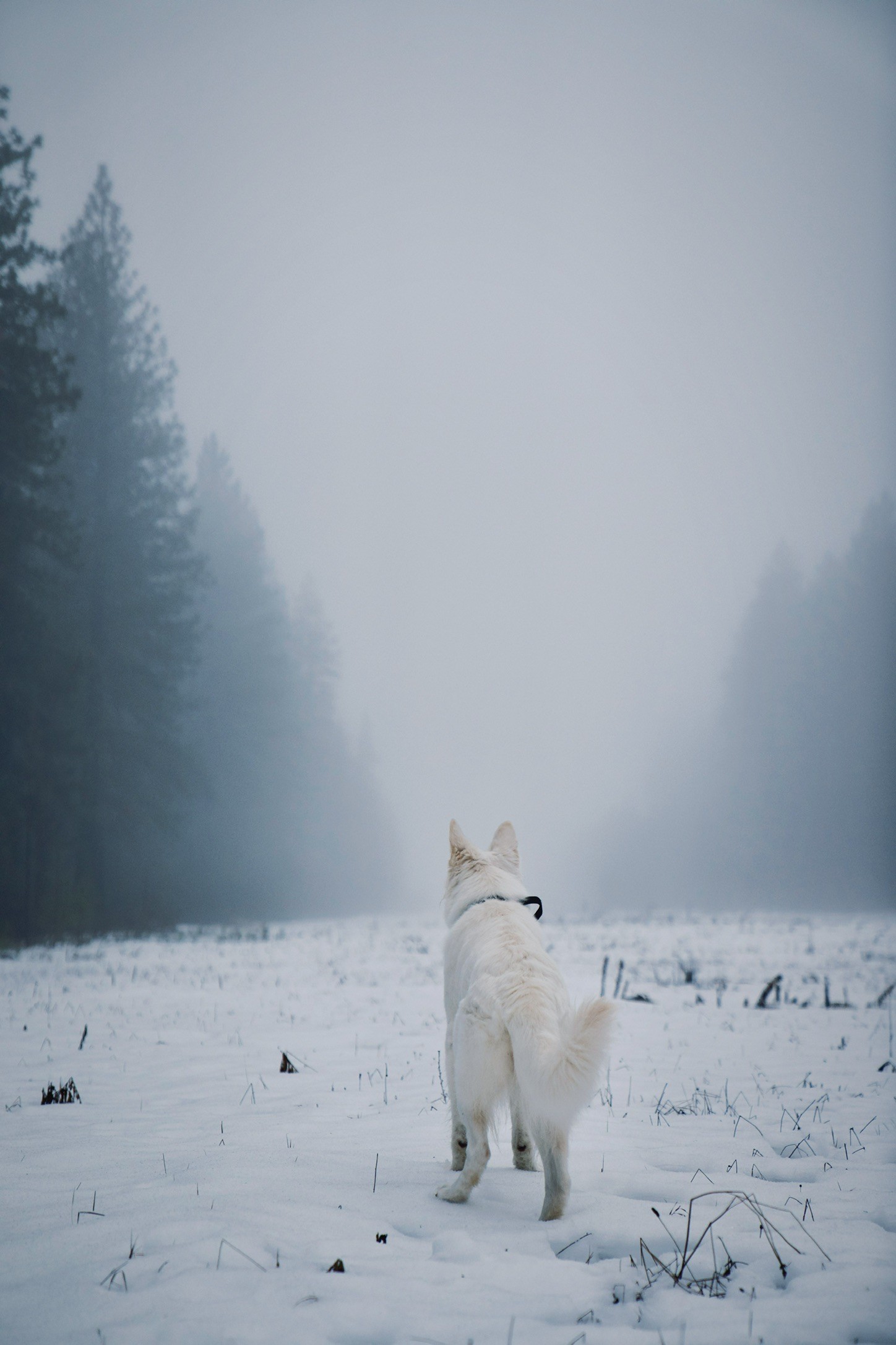 Orange gradient with shades of blue