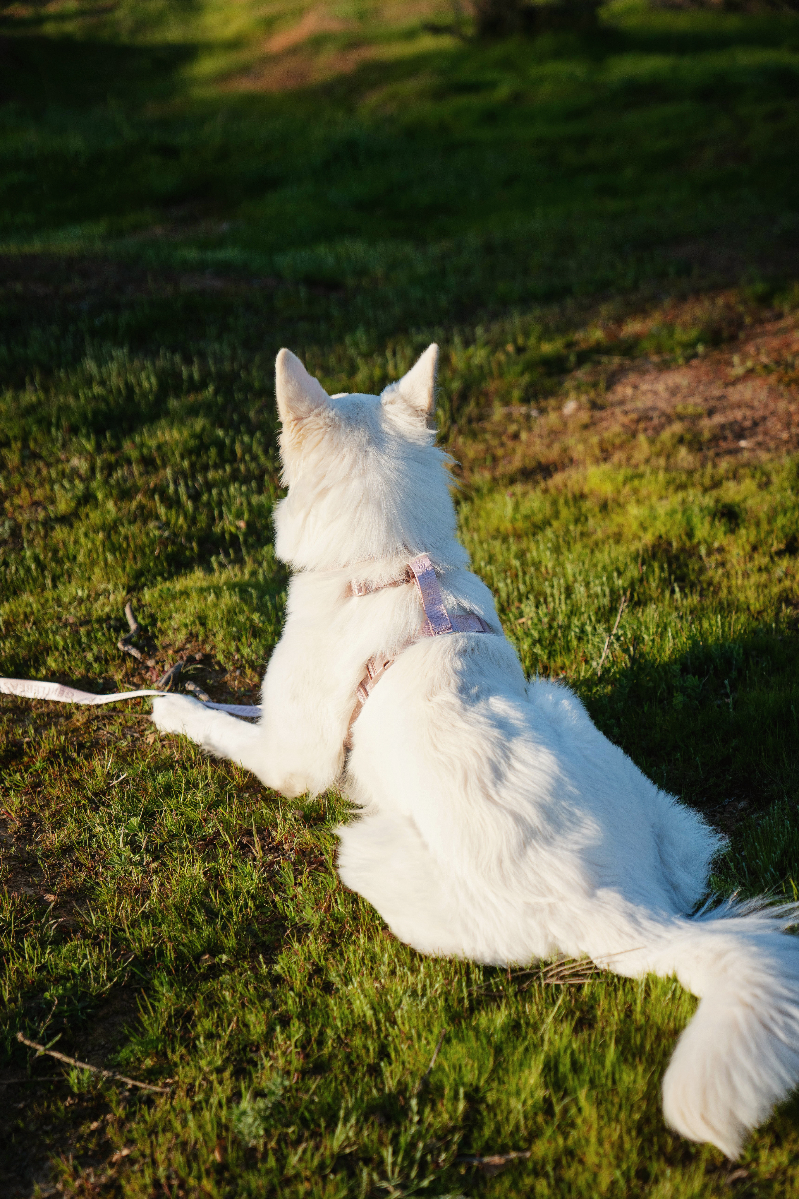 Orange gradient with shades of blue