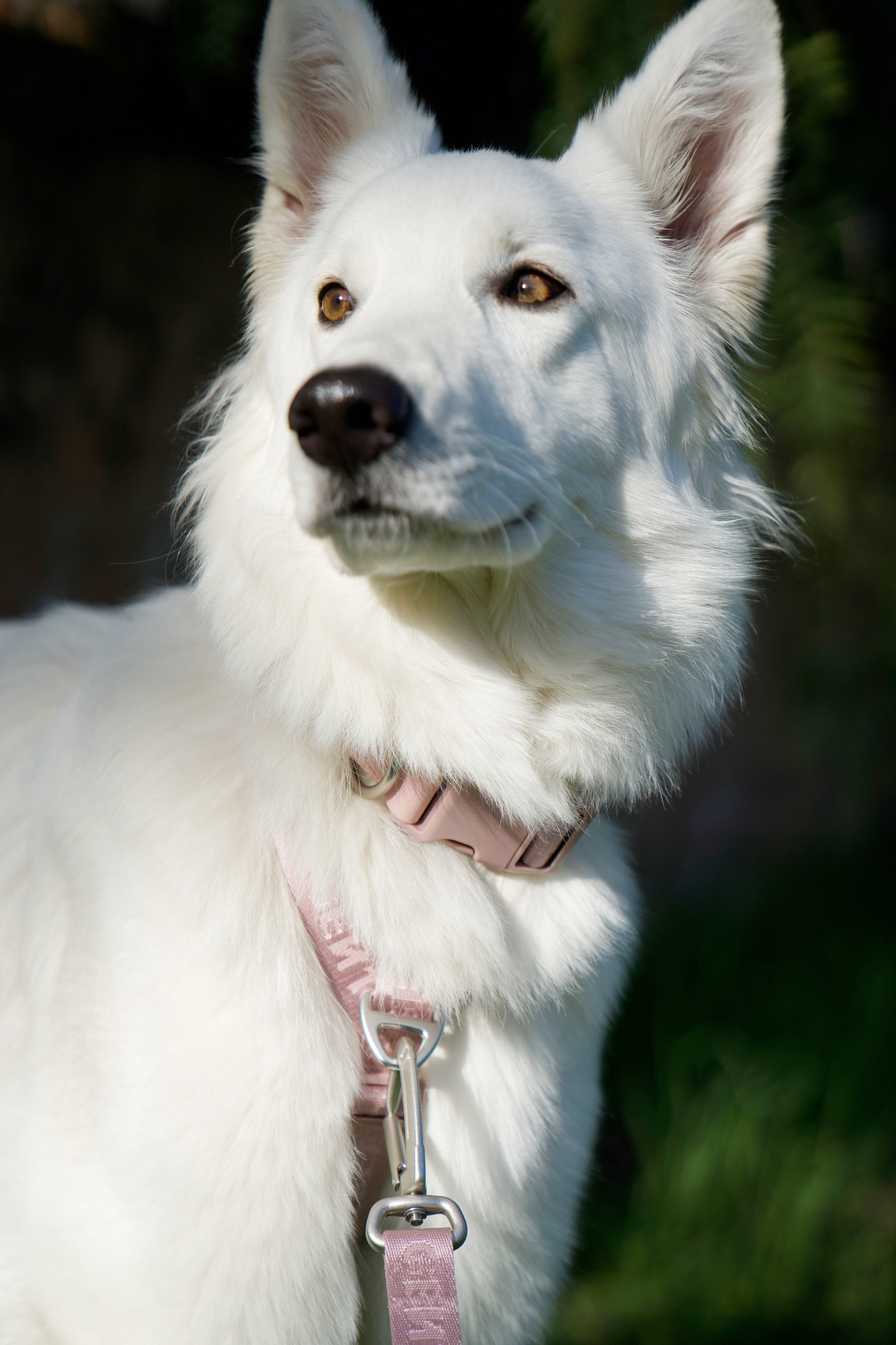 Orange gradient with shades of blue