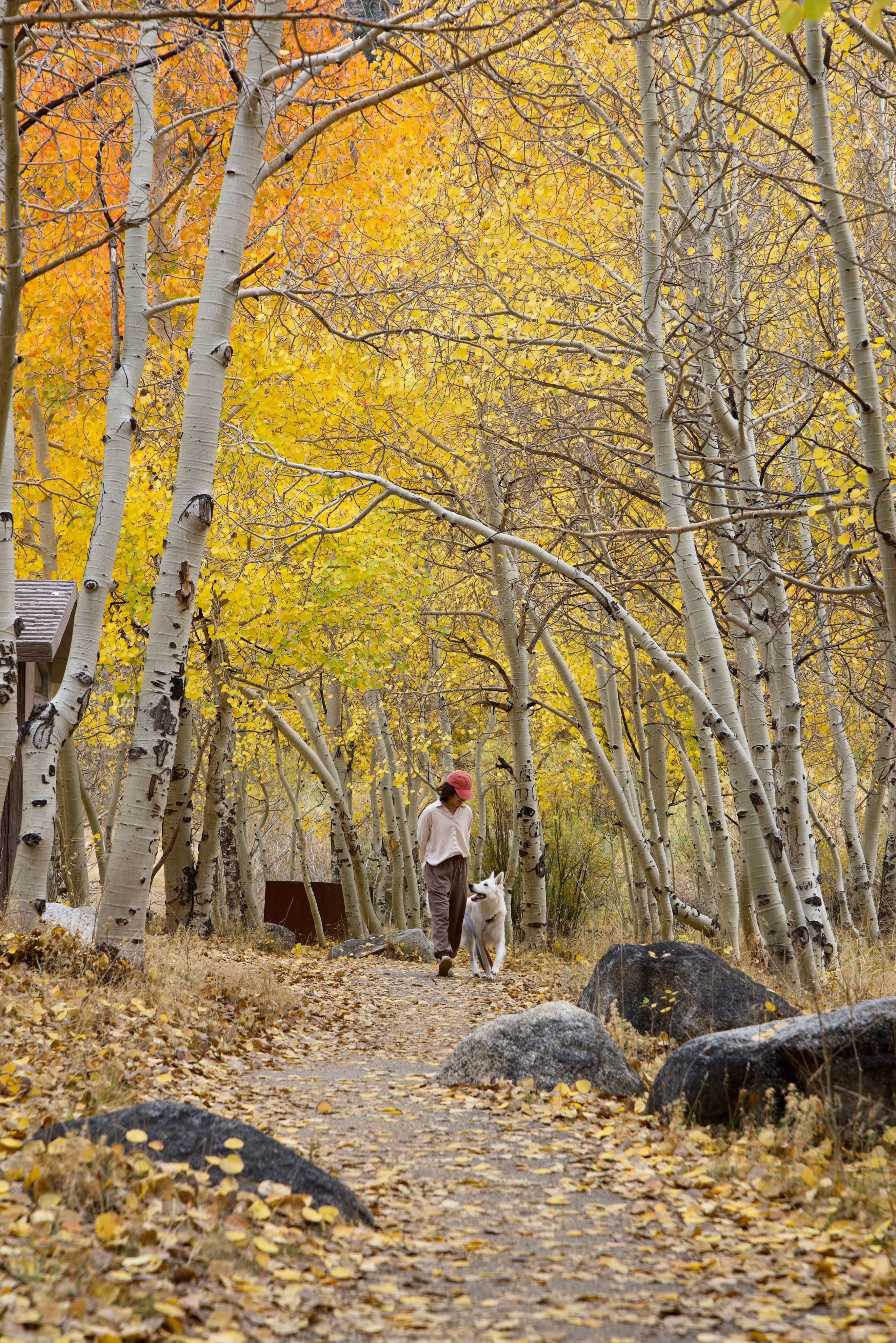 Orange gradient with shades of blue