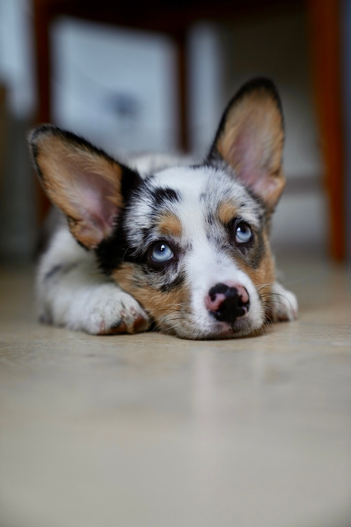 Orange gradient with shades of blue