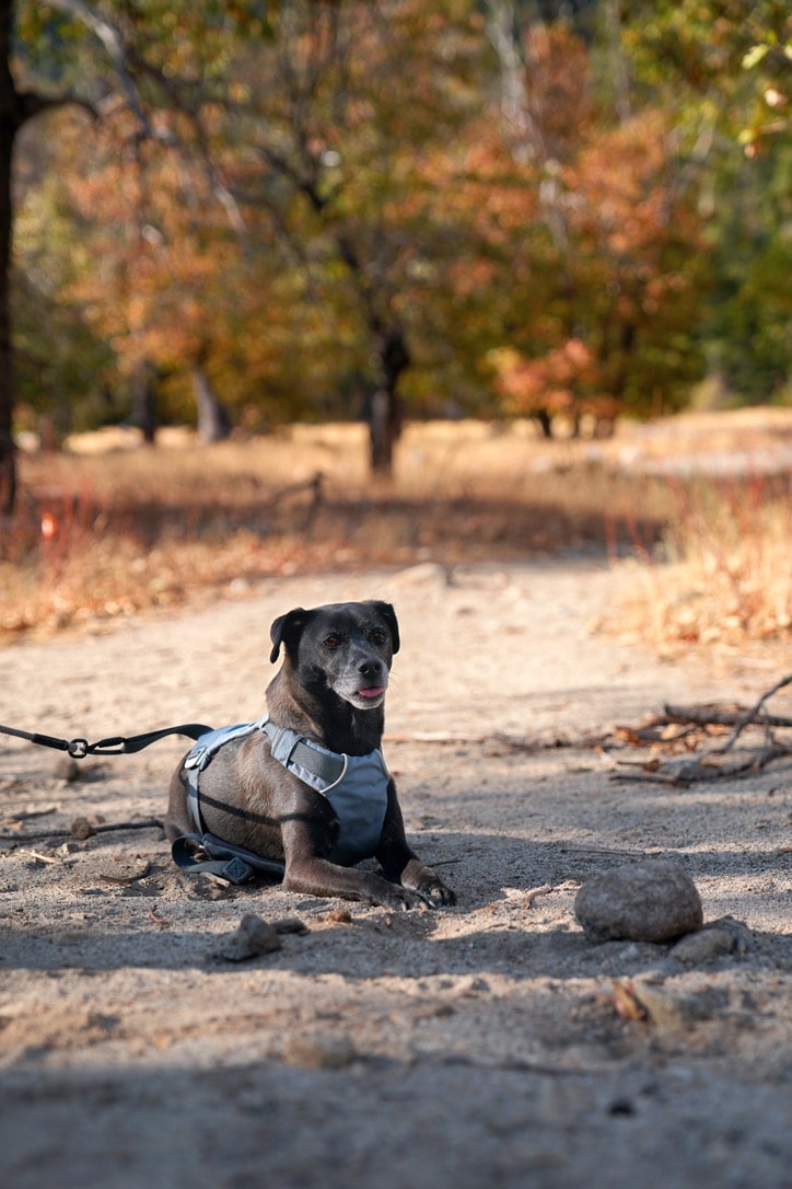 Orange gradient with shades of blue